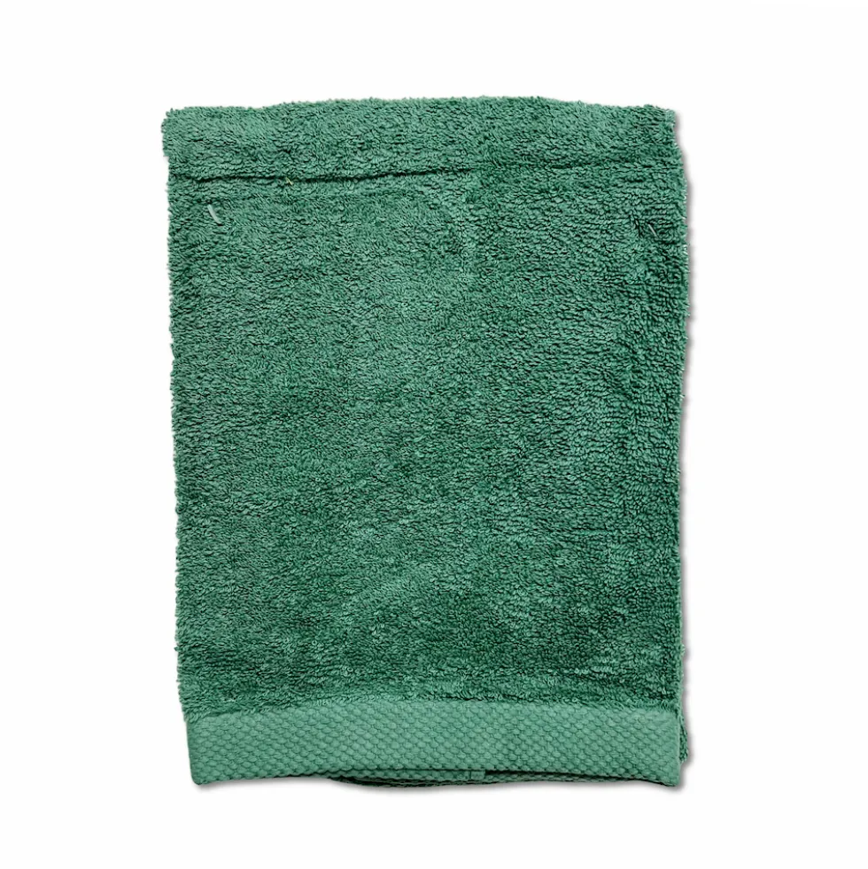 Coppia asciugamani 500 gr Melodie verde
