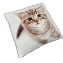 Cuscino Gattino3 40 x 40cm
