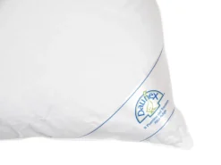 Guanciale in piuma d'oca Daunex Nuvola