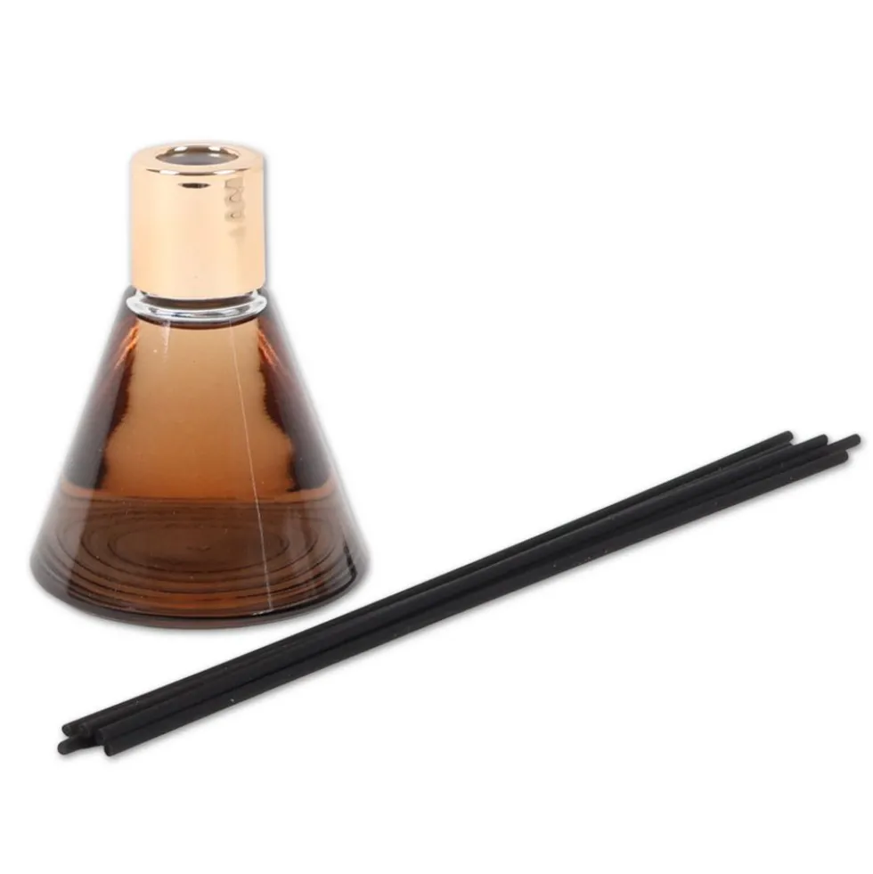 Profumatore per ambiente Fancy Black Forest 100 ml